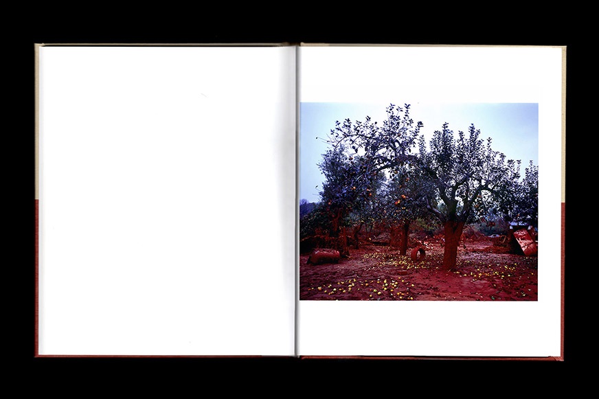 Spread from Peter Kollanyi's book Memento.